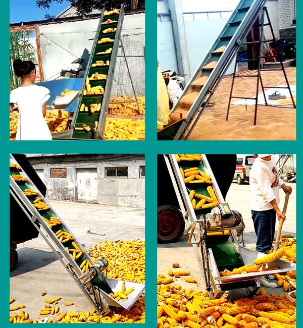 玉米棒皮帶機(jī) 玉米棒皮帶機(jī)